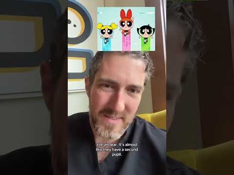 Ophthalmologist Assesses the Visual Function of Cartoon Characters | Part 2