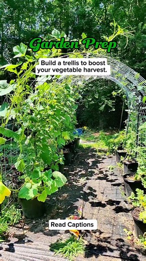 Spring Garden Prep: Building a Trellis to Boost Your Vegetable Harvest Built a sturdy trellis using cattle panels, T-posts, and a T-post driver? Here’s a quick guide and why it pays off for your veggie garden. Quick steps Plan your layout: decide height, width, and plant spacing. Install T-posts at regular intervals along your row or bed. Attach cattle panels to the T-posts, shaping the arch or tunnel you want. Use the T-post driver to drive the posts securely into the ground. Secure panels with