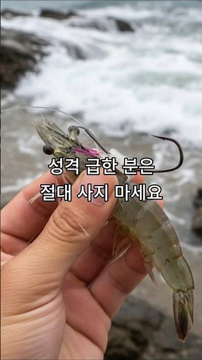 외수질 생새우 미끼 낚시 바늘 채비