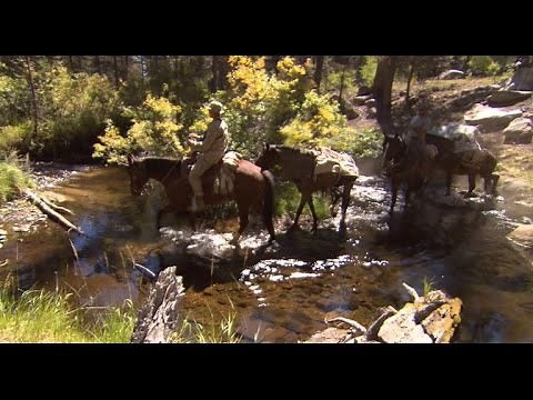 U.S. Special Forces train for horseback missions