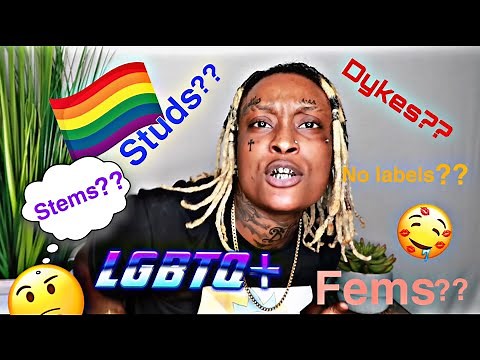 The difference between a Stud, Dyke, Stem, Fem and No Labels EXPLAINED 🤯🥵