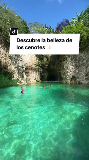 Explora los Cenotes de Yucatán con Tours en Grupo desde Mérida