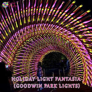 Holiday Light Fantasia (Goodwin Park Lights)