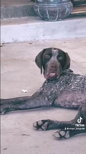 doo-badoo-badoo-badoo