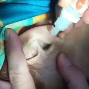 Omg watch till end😵😵 | Copy cat