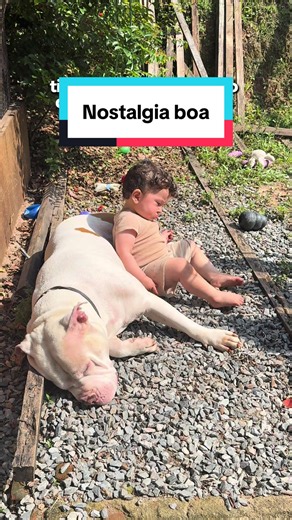 Que nostalgia boa 🥹🐶👶🏻 #pitbull #pets #familia