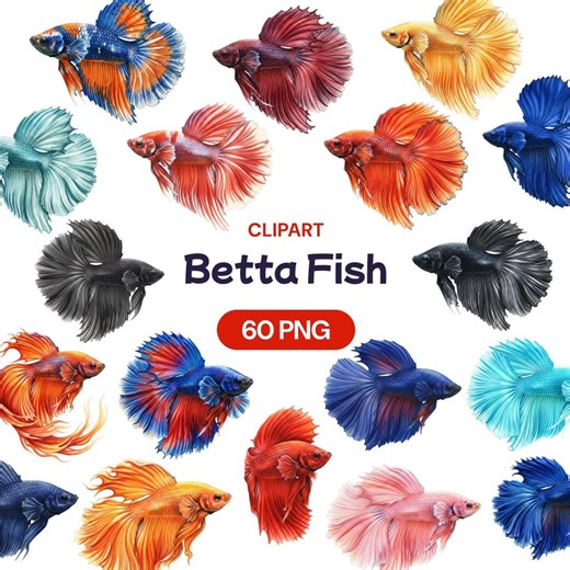 Betta Fish Clipart, 60 Watercolor Siamese Fighting Fish PNG, Colorful Aquarium Pet, Blue Red Tail, Marine Animal, Exotic Sea Life - Etsy