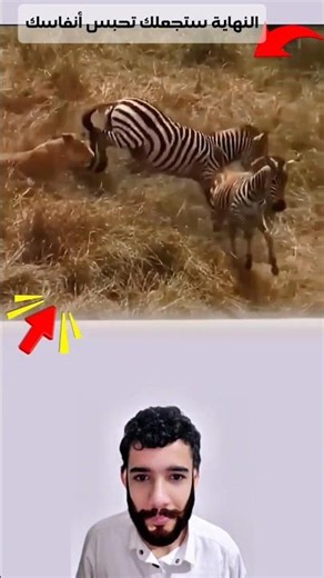 A mother fought back and snatched her cub from the predator's jaws! #youtubeshorts