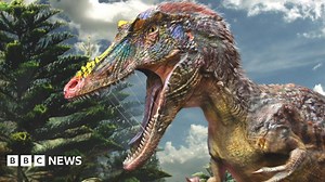 New Tyrannosaur named 'Pinocchio rex'