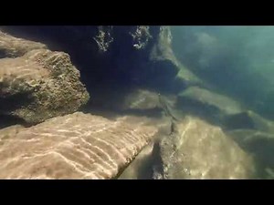 Underwater Camera Fishing at Loch Raven Reservoir 720p