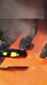 Unlock the Power of Steam: The Ultimate Tool for Car Detailing