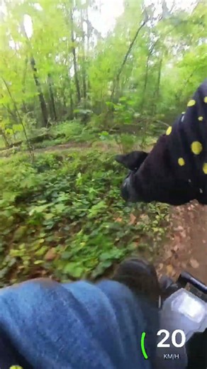 Power in Balance: Slow and Steady Through the Technical Part