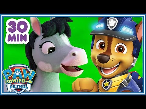 パウ・パトロール | かわいいどうぶつレスキュー３０分 | パウ・パトロール公式