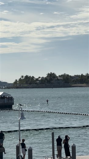 Raymarine leading through turn 1 • • • • • #offshorecanada #mti #mtiboats #skater #skaterboats #skaterpowerboats #mercuryracing #mercury450r #mercurymarine #bayrippyers #outboards #coolboats #speedboats #donzi #cigaretteracingteam #cigaretteracing #cigaretteboat #offshore #speedboats #powerboat #pokerrunsamerica #floridapowerboatclub #miamiboatlife #reals | Offshore Canada