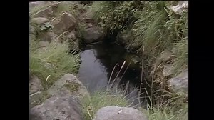 All I've ever known. Credit - John Callister. Living in a cottage with no running water, electricity, TV or phone. Meet Margaret Gallagher from Bolcoo, Co. Fermanagh. Please feel free to share. | Forgotten Ireland