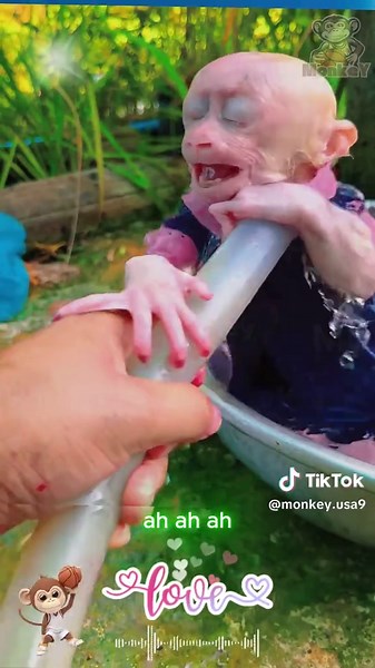 Monkey Enjoys Bath Time Under Water Hose