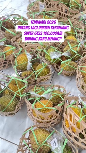 Durian Keranjang Murah Mojokerto, Segar Pagi Ini!