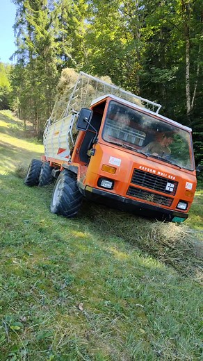 Holzer_Geiss on TikTok