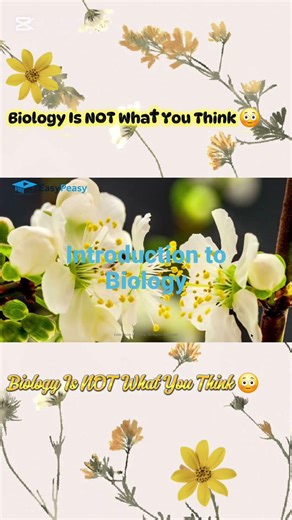 Introduction to Biology | Basics of Life Explained (Easy & Fun!)