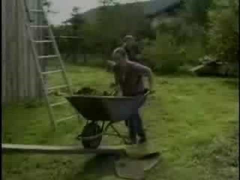 Woman + wheelbarrow + plank + cow manure