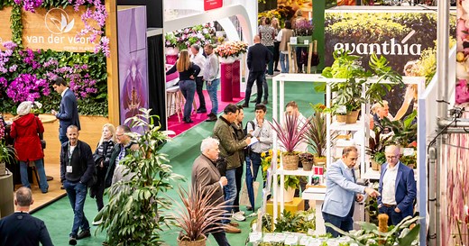 Trade Fair Aalsmeer | Royal FloraHolland
