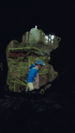 Peak Performance North America on Instagram: "Introducing our newest colour in the VISLIGHT GORE-TEX C-KNIT™ 3L SHELL JACKET. This is our go-to shell jacket for full-year adventures. Made of GORE-TEX 3L C-KNIT™ it has high breathability during warmer seasons and is durable enough for above the tree line action in the winter. (Available in Canada 🇨🇦) #PeakPerformanceNAM"