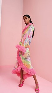 2.8K views · 14 comments | Meet my new fan-dango madly special crazy...