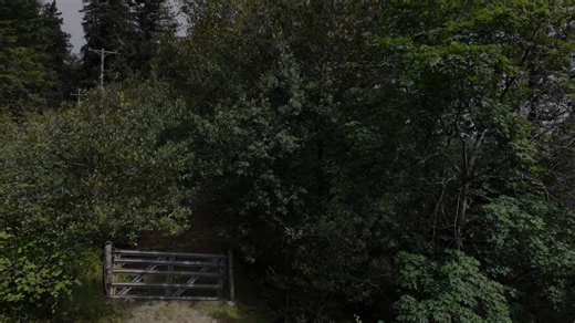 Dry Creek