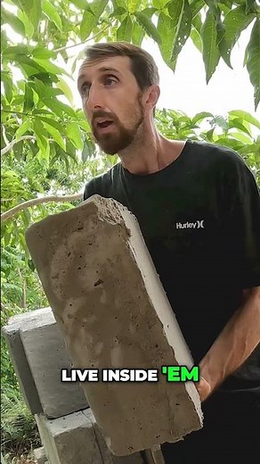 Aircrete Blocks: Lightweight, Fireproof, and Termite-Proof! #shorts