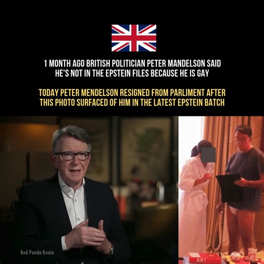 Red Panda Koala on Instagram: "1 month ago British politician Peter Mandelson said he's not in the Epstein files because he is gay “Because I was a gay man, I was kept separate from what he was doing in the sexual side of his life” Today Peter Mendelson resigned from Parliment after this photo surfaced of him in the latest Epstein batch"