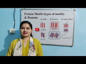 Protein Motifs & Domains | Types of Motifs