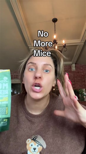 Effective Solutions to Keep Mice Away From Your Home