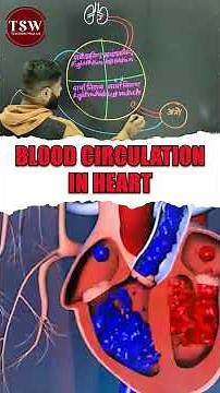 Human Heart & Blood Circulation Explained | 4 Chambers of Heart | Science
