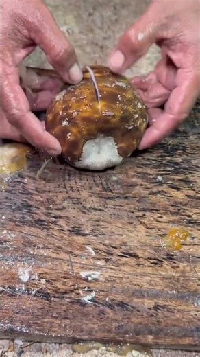 Opening a Giant Mysterious Sea Clam! 🤯🐚 | Most Satisfying Catch Reveal