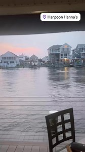 We love Our Dolphin visits! 🥰 🐬 🌅 | Harpoon Hanna's