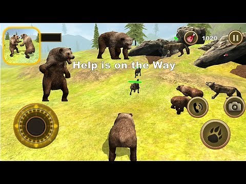 Bear Survival Simulator: Wild Animal Challenge - Android Gameplay