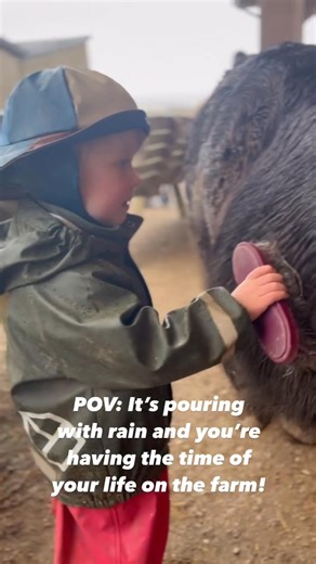 SPLISH SPLASH SPLOSH!!!! 🚜✨ Don’t let the rain ☔️ dampen your spirits😁 there is SO MUCH to do outdoors and undercover TODAY and EVERYDAY at Pennywell Farm including: 🚜NOAH’S BARN indoor bouncy castle extravaganza and picnic area! 🚜 PIGGY CUDDLES 🐷 in the undercover Pets area! 🚜 Undercover super fun at the TRACTOR VILLAGE! 🚜Warm and yummy snacks and hot drinks at the COFFEE CABIN! 🚜ALL our FREE FARM RIDES and activities are running too! 🚜✨ Don’t forget we offer a FREE WET WEATHER RETURN 