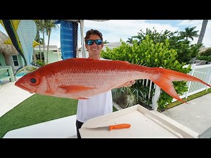 The Queen of Snapper! How to Fillet and Clean!