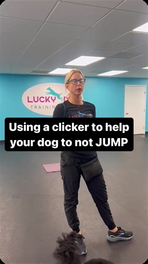 Using a clicker to help your dog to not JUMP#dogtraining #puppiesofinstagram #dogtrainingismypassion #dogsofinstagram #dogtrainingtips | Dynamite Dog Training