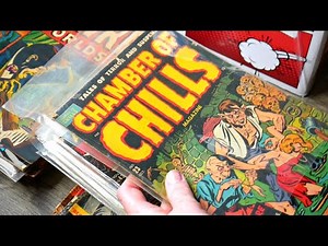 The #1 BEST Comic Book Collection Purchase We Have Ever Had!