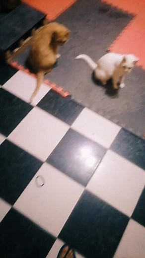 No me lo esperaba ???