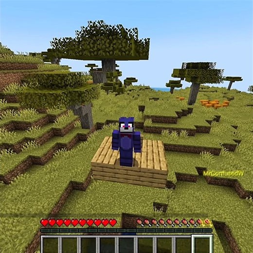 Judelow Fake Water Trap #minecraft #shorts #judelow #usa