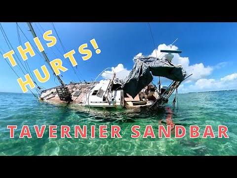TAVERNIER KEY SANDBAR - Florida Keys - BOATING FUN 2022