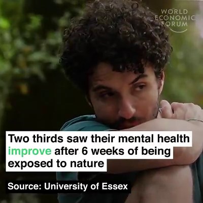 429K views · 10K reactions | Step outside. Learn more about nature and mental health: https://wef.ch/2k7vNzF | World Economic Forum | Facebook