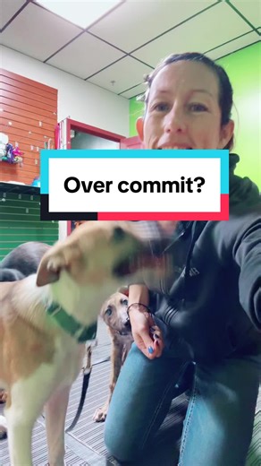 Did I slightly over commit? Nah, this is a normal day 😂😂 but really though, we actually have 9 puppies today and i love it 😂 #puppiesoftiktok #puppydaycare #puppytiktok #puppytraining #dogsoftiktok