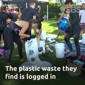 Operation Straw is a clean-up initiative encouraging people to collect plastic straws while snorkelling. | SBS Australia