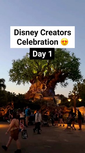 10K views · 89 reactions | Day 1 of Disney Creators Celebration! Here is what we got up to! Thank’s to Disney for inviting us! Can’t believe it!! #hostedbydisney #ThisIsMagic #disneycreatorcelebration #disneyworld #animalkingdom #animalkingdomlodge #disneytravel #disneyparks #disneycreator #orlandoflorida #travelingwithkids #traveltheworld Walt Disney World Disney Parks | Florida Trippers | Facebook