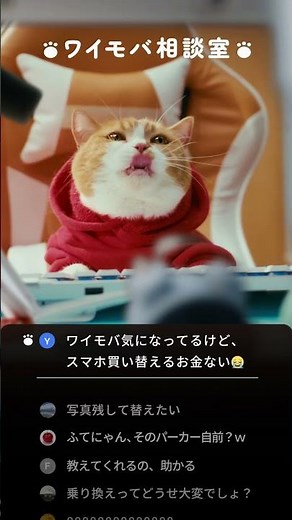 Y!mobile「ワイモバ相談室 スマホそのままでおトク」篇 15秒 for short