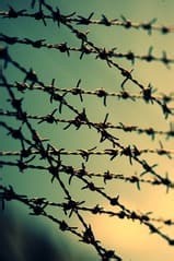 封印された言葉を解き放つ─40年目の真実。日本航空123便御巣鷹山墜落事件のボイスレコーダーの完全原稿