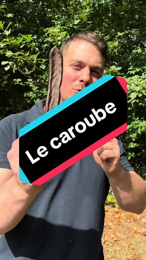 Le meilleur coupe-faim naturel : le caroube à découvrir